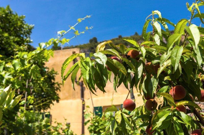Hotel Agriturismo La Selva Finale Ligure Exterior foto