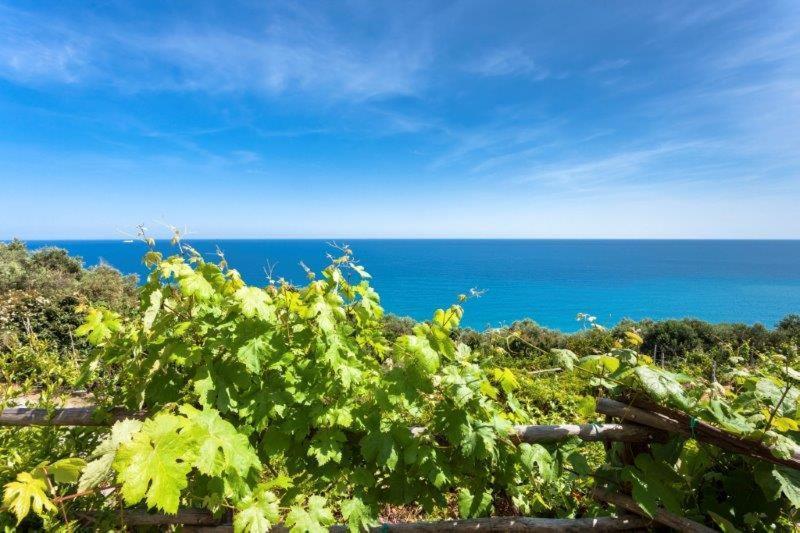 Hotel Agriturismo La Selva Finale Ligure Exterior foto