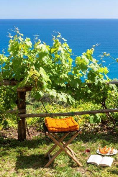 Hotel Agriturismo La Selva Finale Ligure Exterior foto