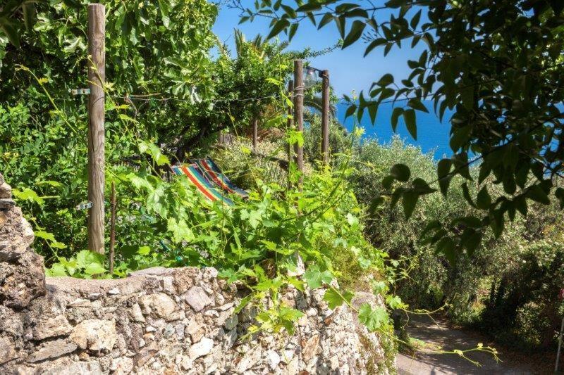 Hotel Agriturismo La Selva Finale Ligure Exterior foto