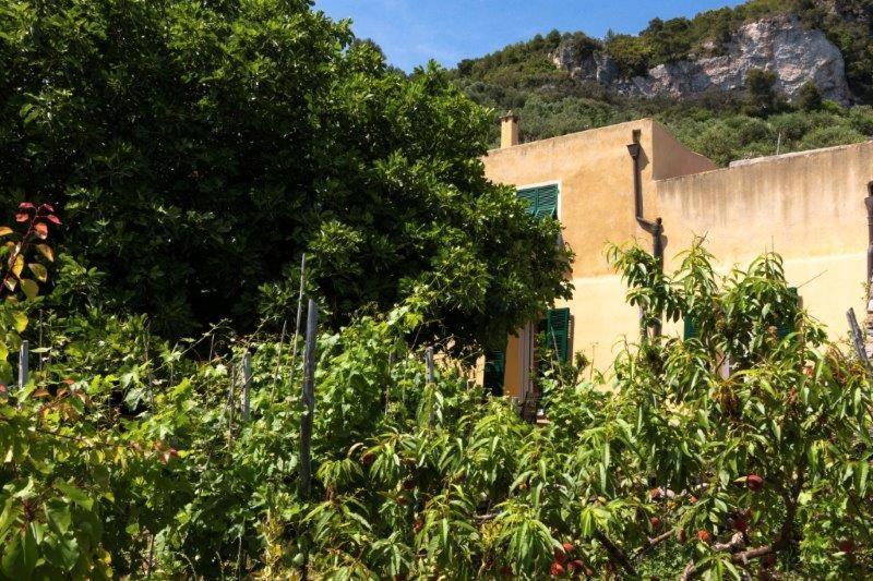 Hotel Agriturismo La Selva Finale Ligure Exterior foto