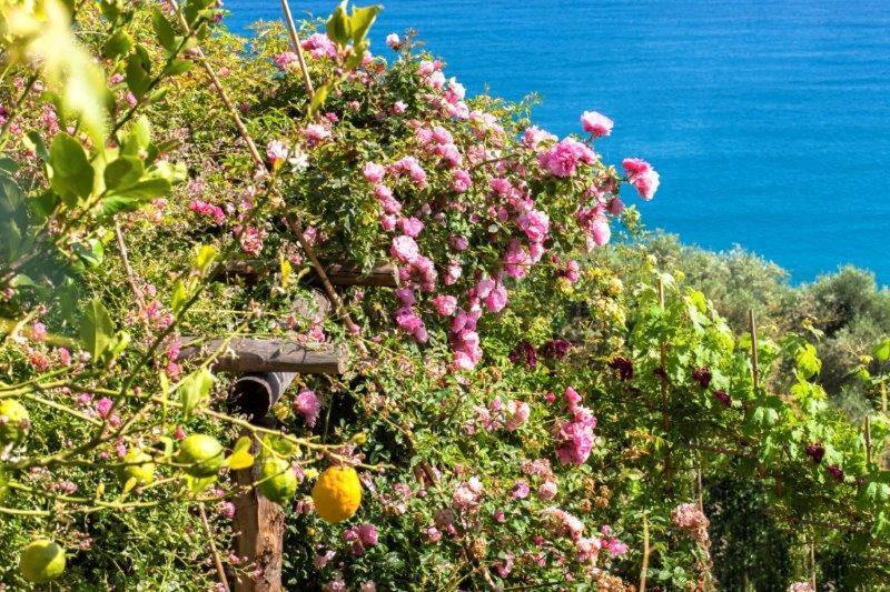 Hotel Agriturismo La Selva Finale Ligure Exterior foto