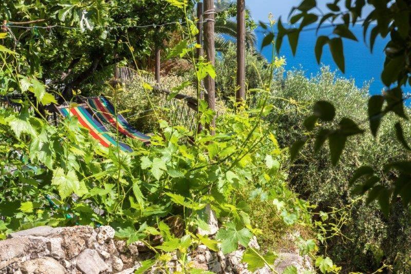 Hotel Agriturismo La Selva Finale Ligure Exterior foto
