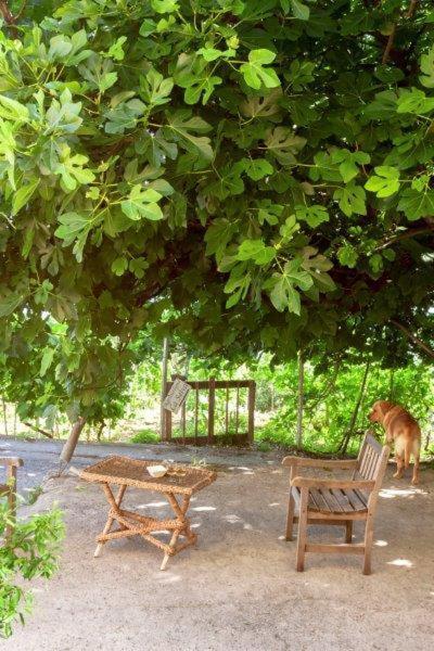 Hotel Agriturismo La Selva Finale Ligure Exterior foto